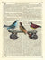 Birds on a Skateboard by Marion McConaghie. Unframed art print.