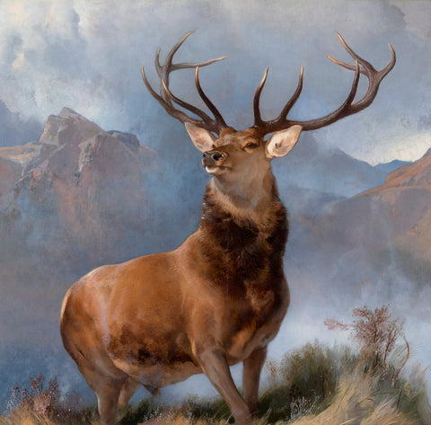Monarch of the Glen, 1851 by Sir Edwin Henry Landseer. Unframed art print.